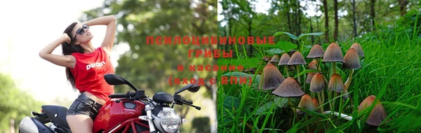 каннабис Касимов