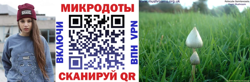 Псилоцибиновые грибы Magic Shrooms  Купить где  Мончегорск 